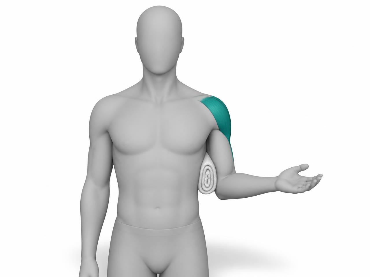 Illustration der Übung Außenrotation am Körper