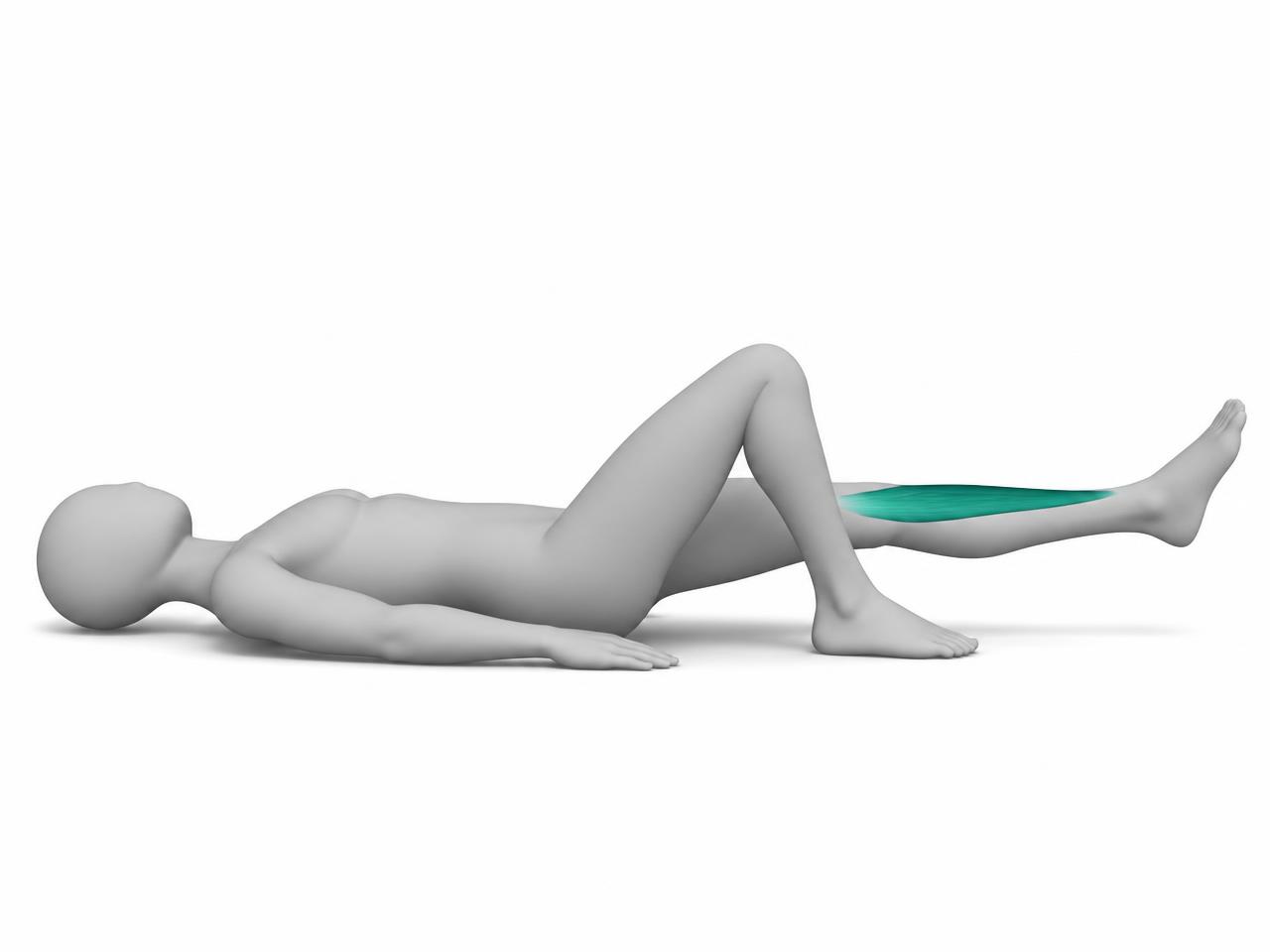 Illustration der Übung Gestrecktes Beinheben